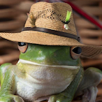 Freaky.Frog's Avatar'