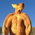 Honey_BomB's Avatar'