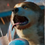 ubi--unicorn's Avatar