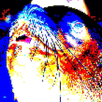 Sealo-'s Avatar'