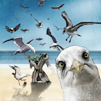 Big_Chungi's Avatar'