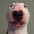 KILZxLegend's Avatar'