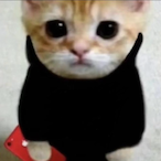 gougemyeyes's Avatar'