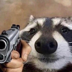 Raccoon520.SAV's Avatar'