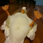 GabrieIReinas's Avatar'