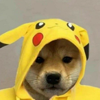 Sonog.hei212's Avatar'