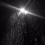 Half_One's Avatar'