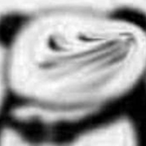 smiling_panda_'s Avatar'