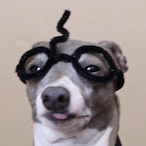 NaStY_Boiiiiiii's Avatar'