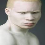 nillyrok's Avatar'
