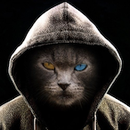 LroyGoonKolotov's Avatar'