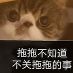 SamMeisterChoi's Avatar'