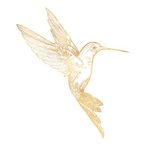 nelHLlson's Avatar'
