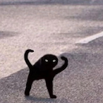 carrymetochamp's Avatar'