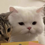 IaM-WiNNeR's Avatar'