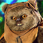 NotTheRealKoala's Avatar'