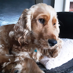 GrandRegenThrag's Avatar'