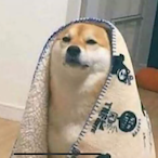 icantsee16's Avatar'