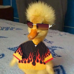 BhornerOnTlKTOK's Avatar'