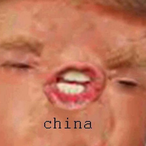 mrlemur527's Avatar'