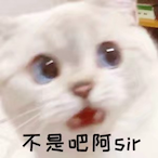 hayateYAN's Avatar'