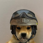 Dogarit_Pekku's Avatar'