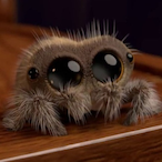 AranhaCarente's Avatar'