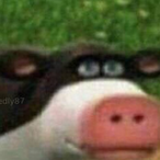 I Exxhibit I's Avatar'