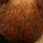 Beard.NFG's Avatar'
