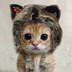 rohirrimelf's Avatar