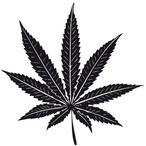Daywalker-420's Avatar'