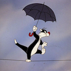 raresofia's Avatar'