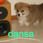 MaydenCopon's Avatar'