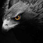 fronsakGOD's Avatar'