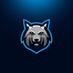 PxlKiing's Avatar'