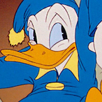 fe4th3rr.'s Avatar'