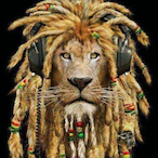 Vittot__'s Avatar'