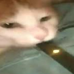 zuhnion.'s Avatar'
