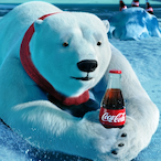 Kora_Polar's Avatar'