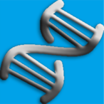Ribose231's Avatar'
