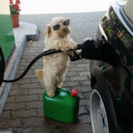 gamesir era's Avatar'