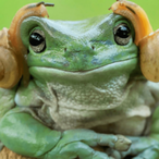 O_REI_SapidereX's Avatar'