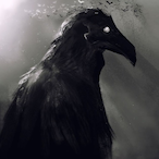 ehsyd's Avatar'