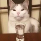 M0rdoKlejka's Avatar'