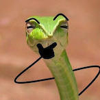Jawwron-o-'s Avatar'