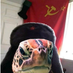 Comrade_Turtle.'s Avatar'