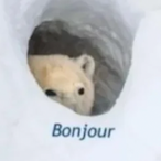 TSM_MasterChief's Avatar'