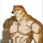 Tuqo's Avatar'