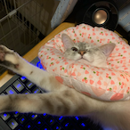 EndlessRun-'s Avatar'