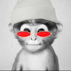 qiRoniks's Avatar'